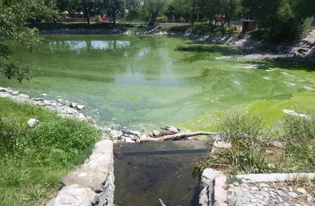 Lago con agua deteriorada